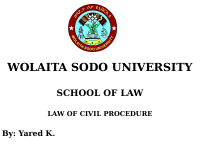 Civil Proce ii Yared.pptx